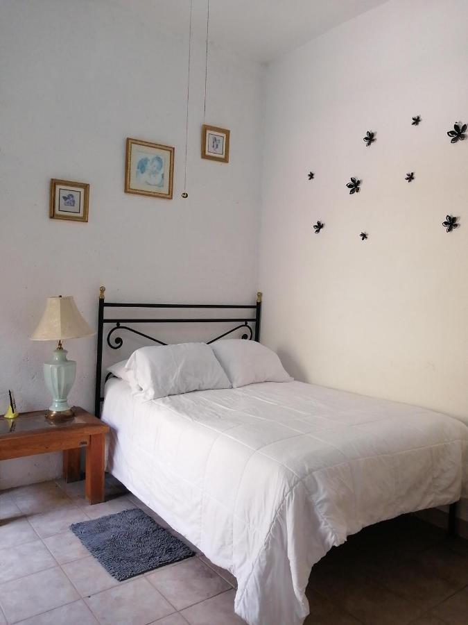 سان ميغيل دي الليندي Hotel Alborada Allende المظهر الخارجي الصورة